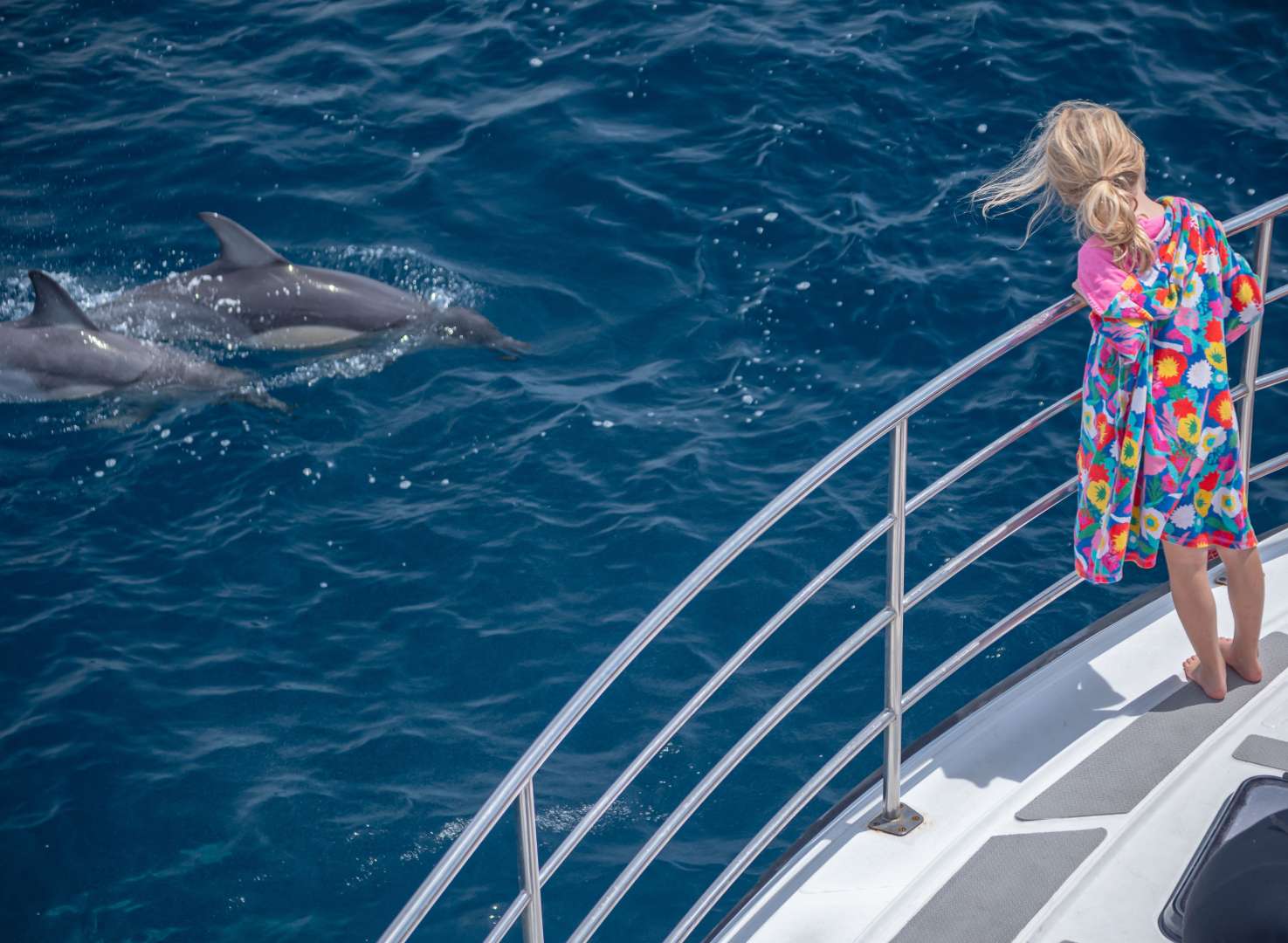 Safe Dolphin viewing platform