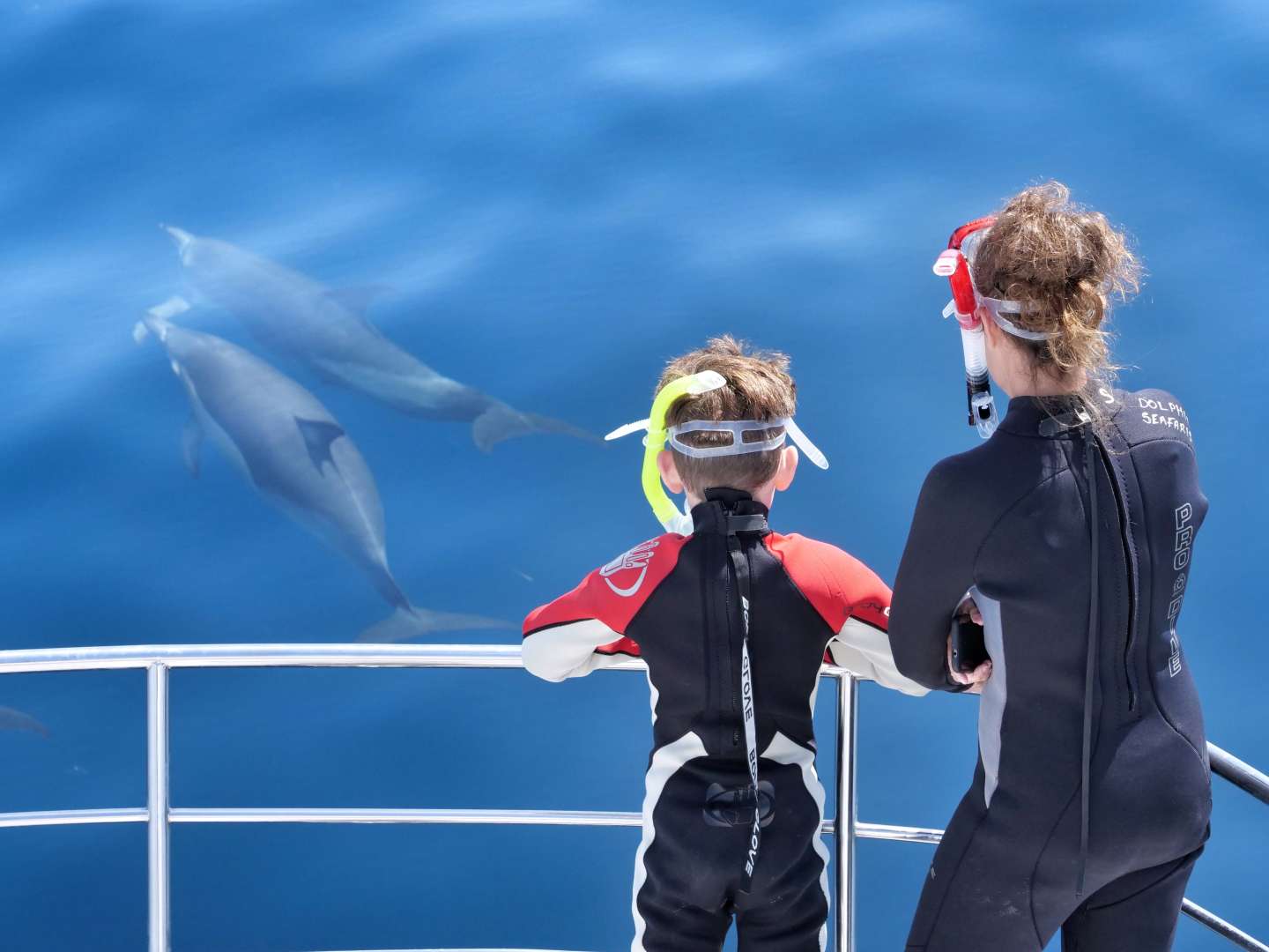 Swim with Dolphins Snorkel gear included