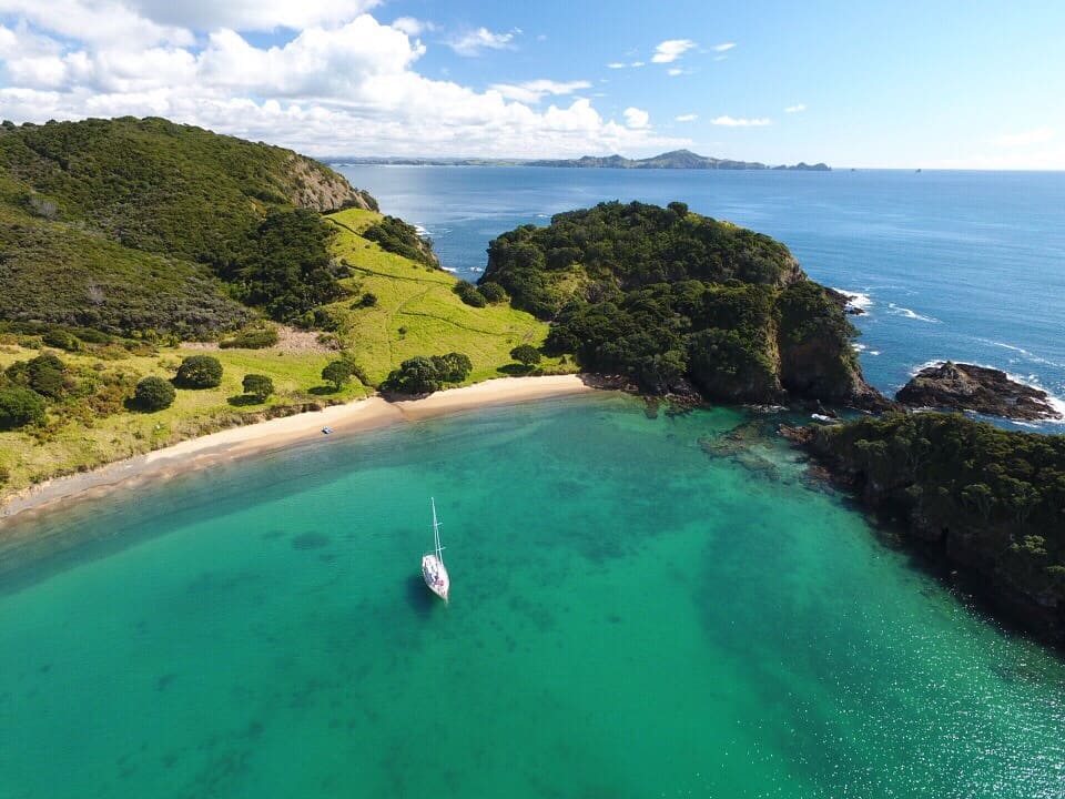 yacht charters bay of islands nz