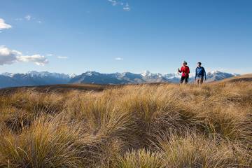 Tekapo High Country Hike