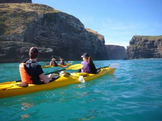 Pohatu Marine Reserve Sea-kayaking Safari Tour