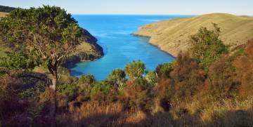 Get Involved and discover what New Zealand Use to Look Like