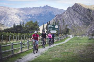 Bike The Wineries Full Day