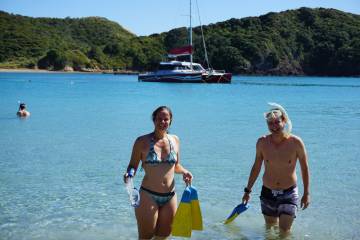 Carino Sailing Trip Bay of Islands with Wildlife Day Cruise