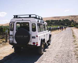 Marlborough Private Vineyard Tour with Jeep from Blenheim