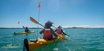 Browns Island (Motukorea) Sea Kayak Tour