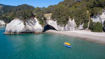 Cathedral Cove Glass Bottom Boat