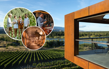 Central Otago Wine Tour