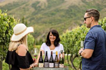 Classic Wine Tour in Queenstown’s Wine Region, Gibbston