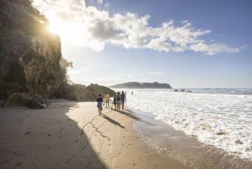 Coromandel Day Tour From Auckland