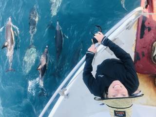 Dolphin & Wildlife Cruise