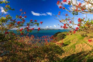 Duder Regional Park Walking Tours