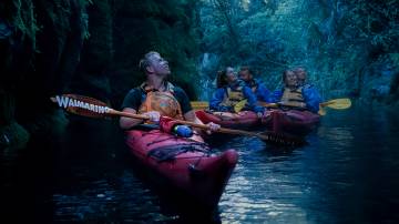 Evening Glowworm Kayak Tour- Tauranga