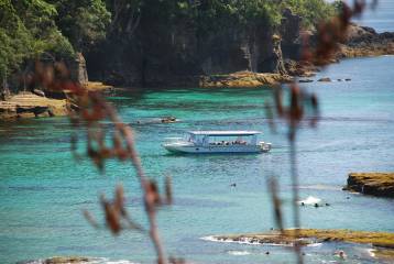 Glass bottom boat Tour