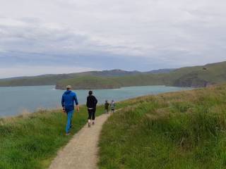 Godley Head walking tour- Start/finish Chrsitchurch