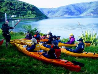 Guided sea kayak safari in Akaroa