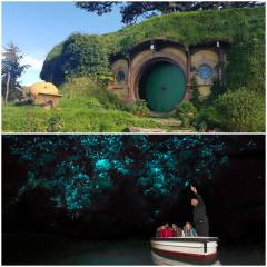 Hobbiton and Waitomo Caves