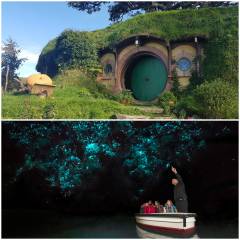 Hobbiton and Glow Worm Tour Waikato