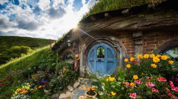 Hobbiton Movie Set Tour