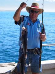 Kaikoura fishing tours