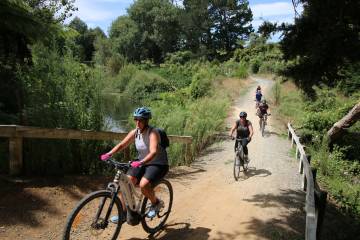 Karangahake Gorge Ebike Tour