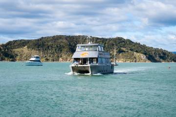 Lunchtime cruise. Fish & Chips optional