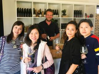 Martinborough Foodie Half Day Tour from Wellington