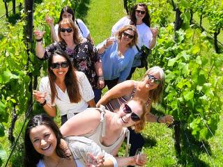 Martinborough Half Day Winery Tour from Wellington