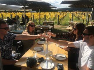 Martinborough Winery Tour