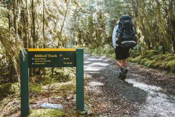 Self-Guided Milford Track Day Walk - Lake Te Anau