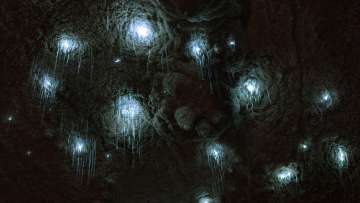 Milky Way Glowworm Cave Tour