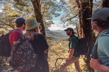 Nomad Safaris Routeburn - Guided Walks