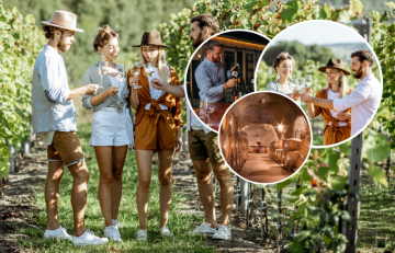 Queenstown Wine Tour with Wine Dog | Adults Only - Departs Queenstown Daily (10am to 3pm)