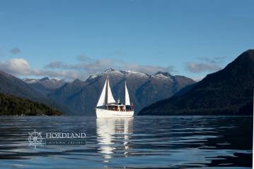 Scenic Cruise Guided Walk