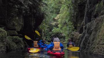 Scenic Lake McLaren Kayak Tour - Tauranga