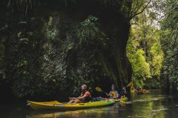 Twilight Kayak Glowworm Tour