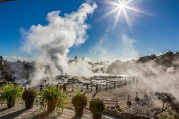 Visit Te Puia Geothermal Valley Rotorua