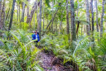 Waiheke Island Bush & Beach Walk