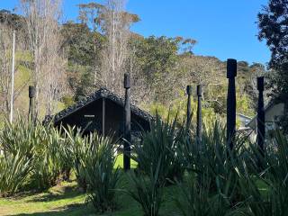 Waiheke Island Cultural Experience