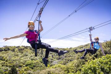 Waiheke Island Ziplining & forest walk tour