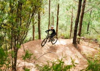 Waitangi Mountain Bike Park Bike Rentals