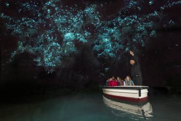 Waitomo Glow Worm Caves Day Tour