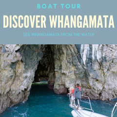 Whangamata Discover - Scenic Boat Tour