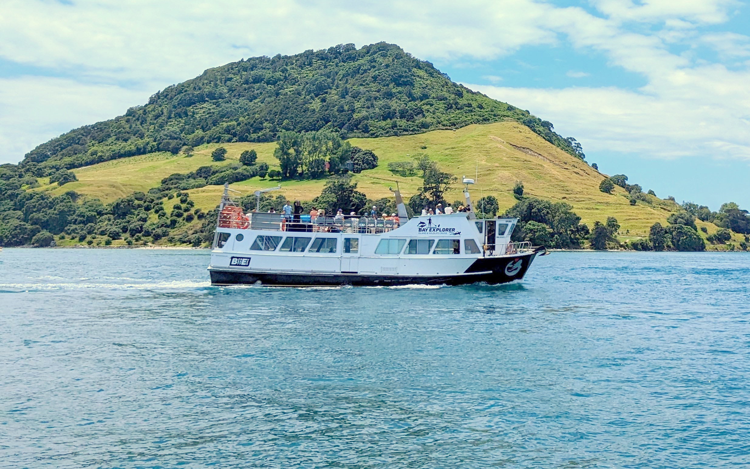 tauranga harbour cruise ship schedule