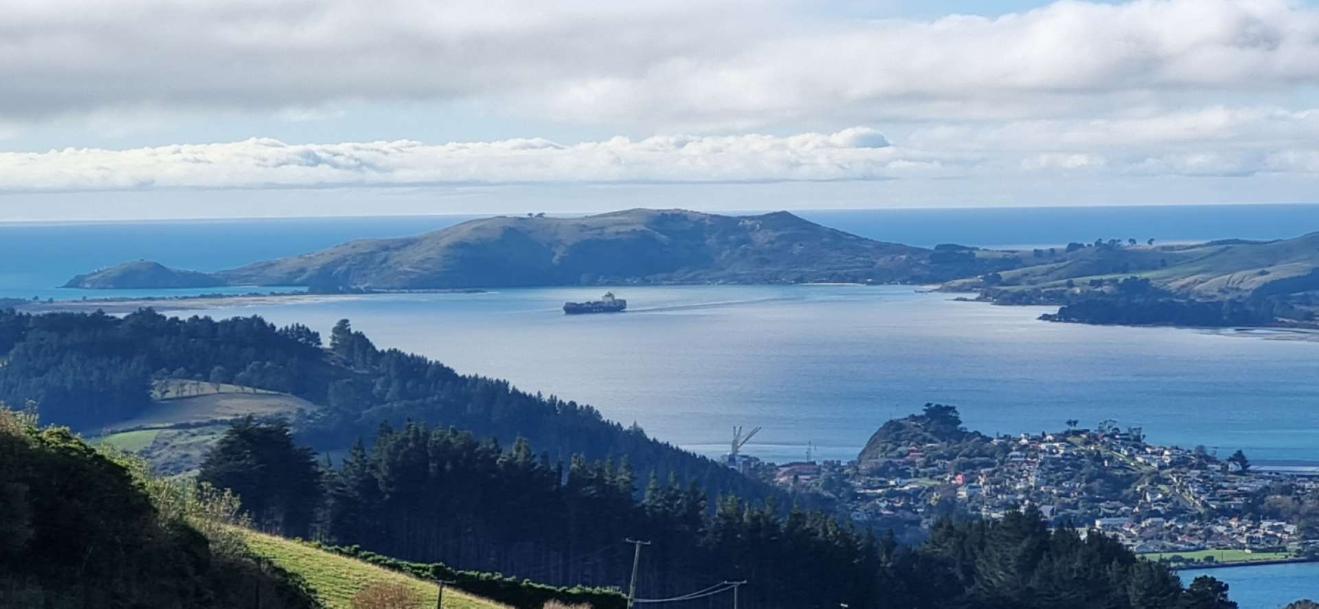 Otago Harbour