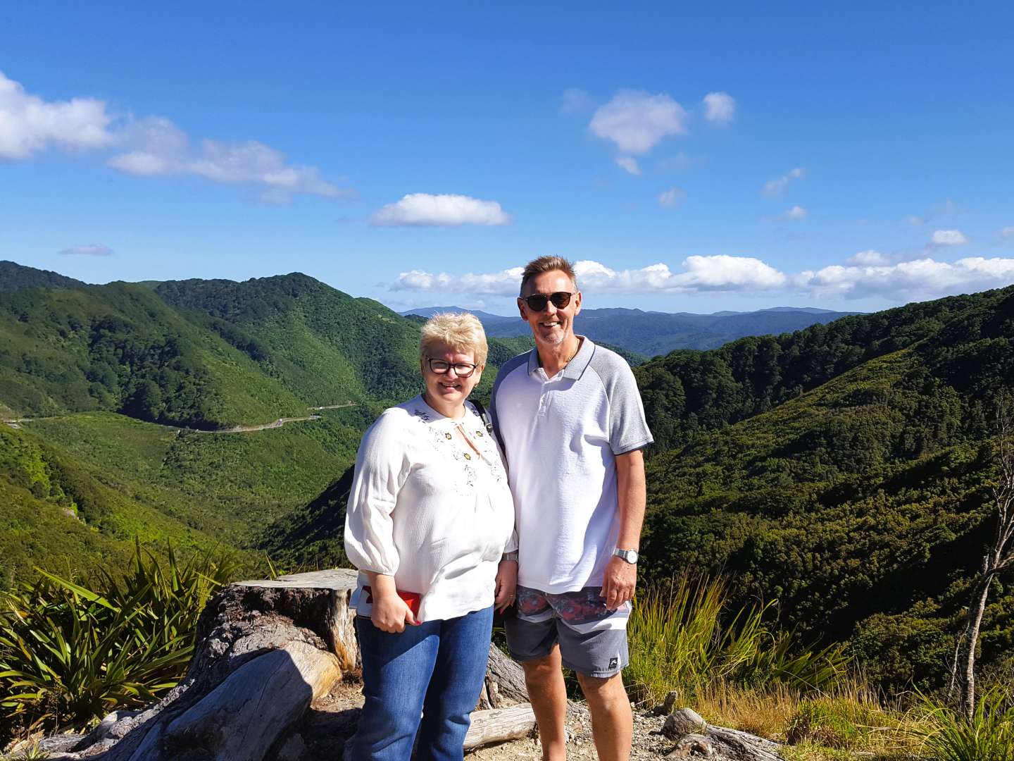 View at Remutaka Summit