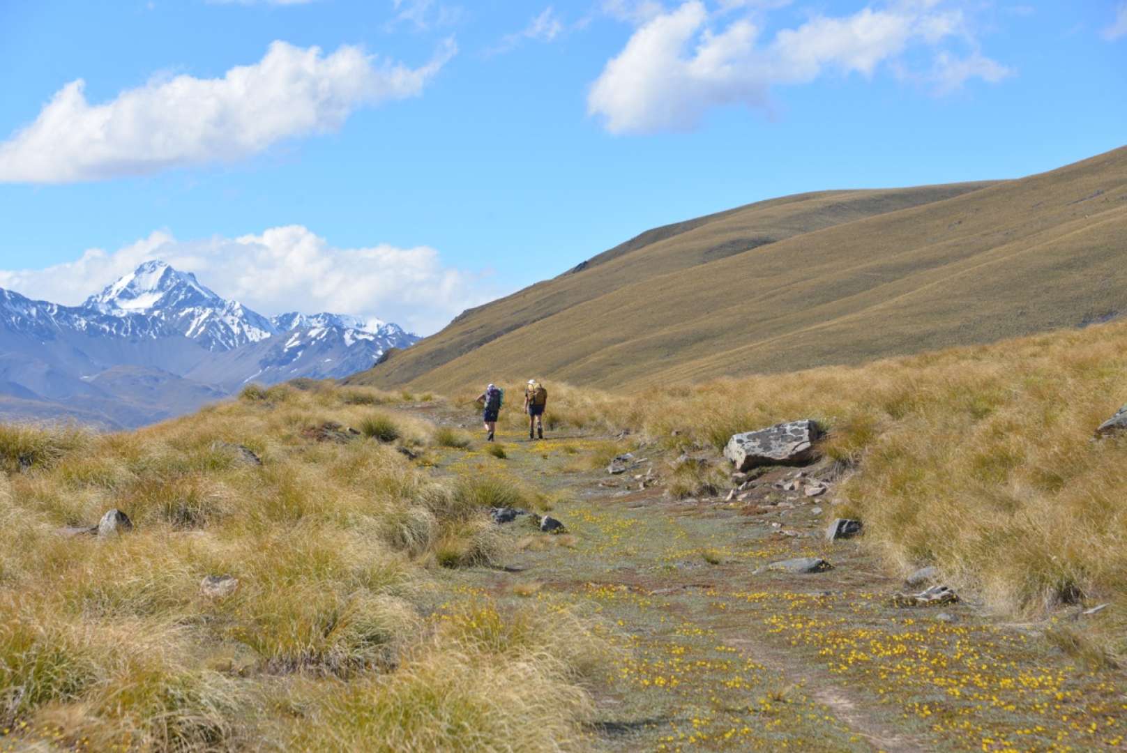 Approaching Rex Simpson Hut