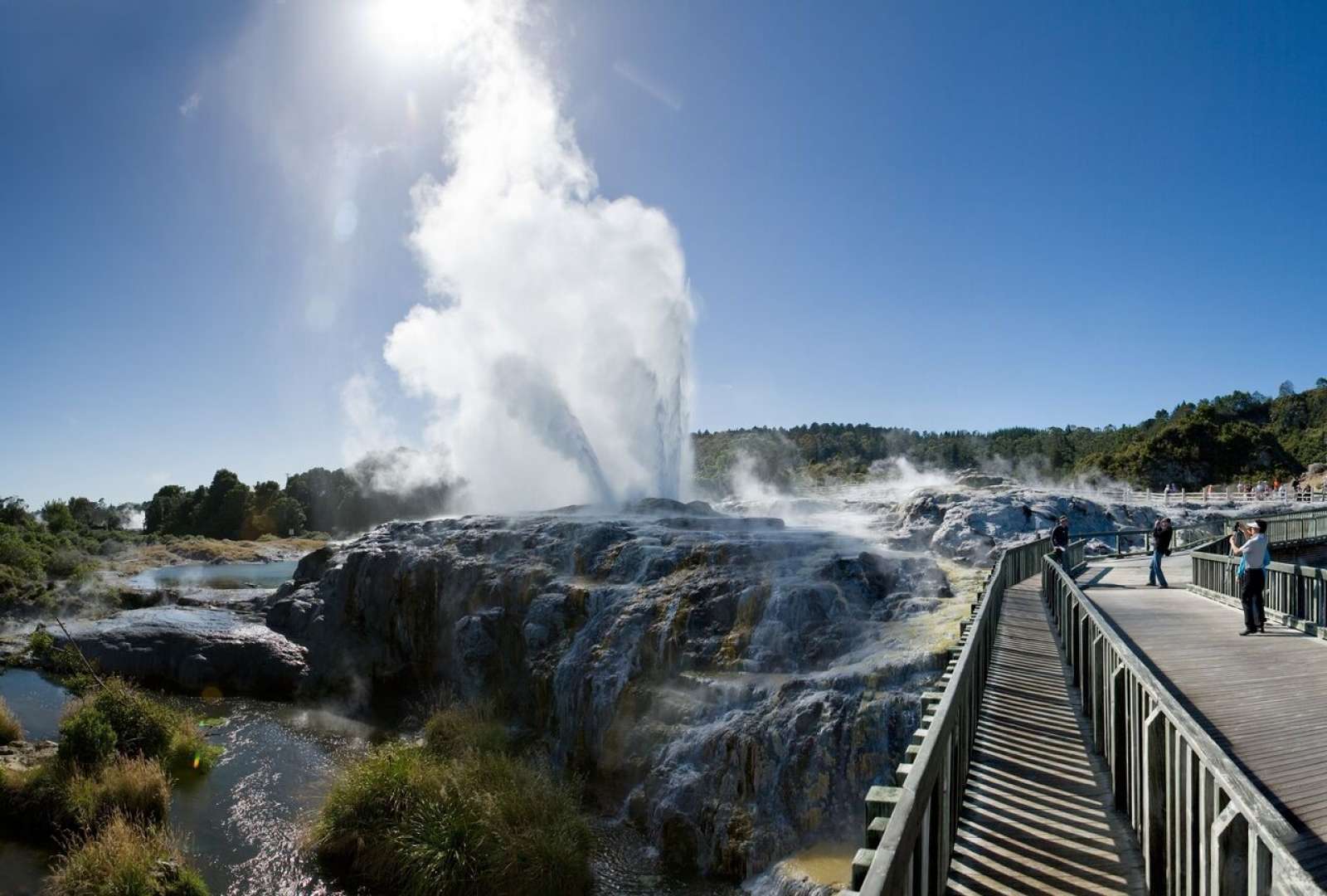 Experience the Pohutu Geyser