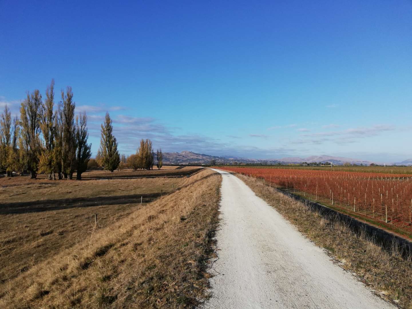 Hawke's Bay Trails