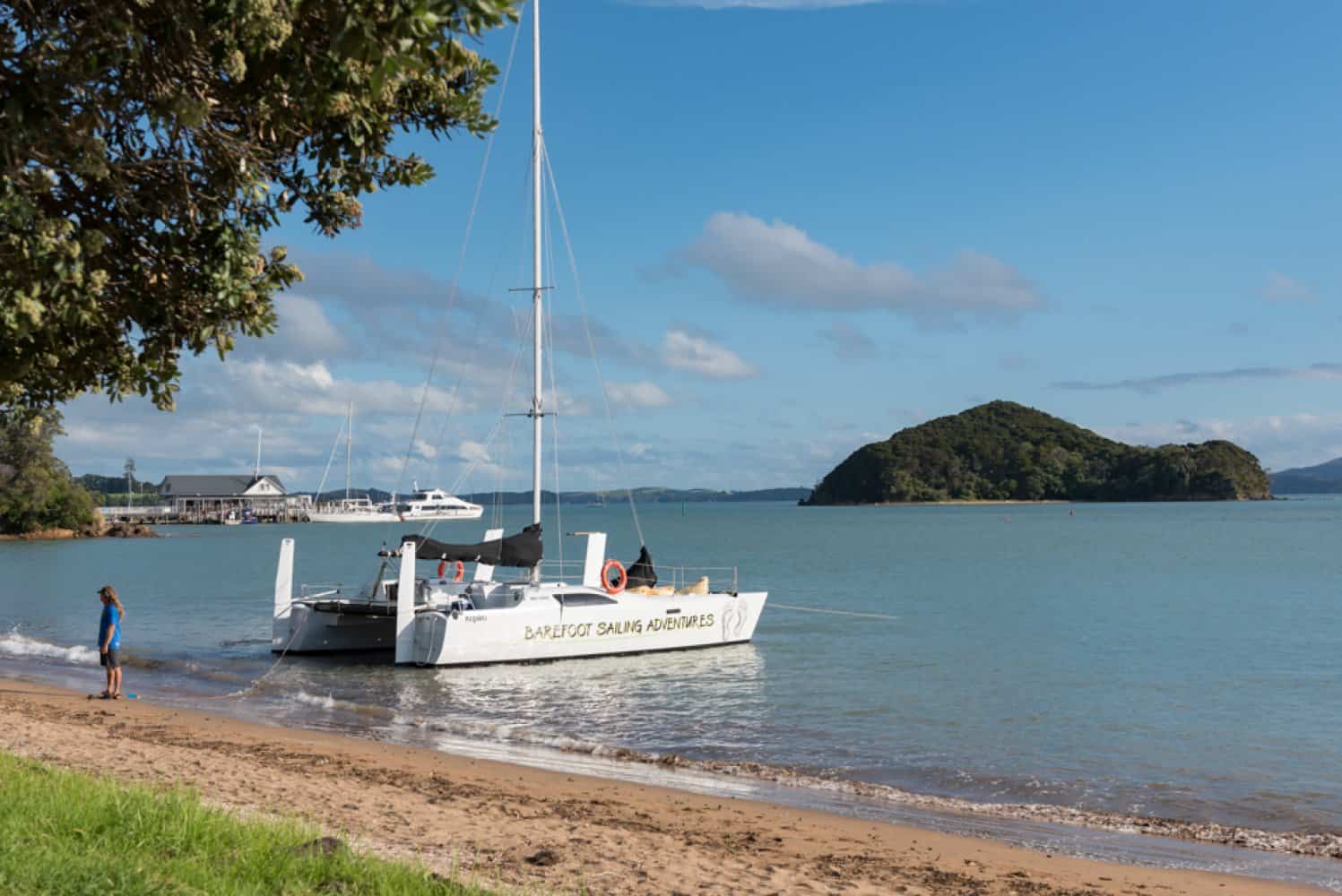 Sundowner Evening Sailing Cruise | Things to See and Do in New Zealand